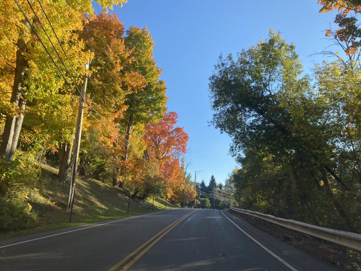 A foliage-lined road on the way to the apple farms on Saturday, Oct. 19, 2024.